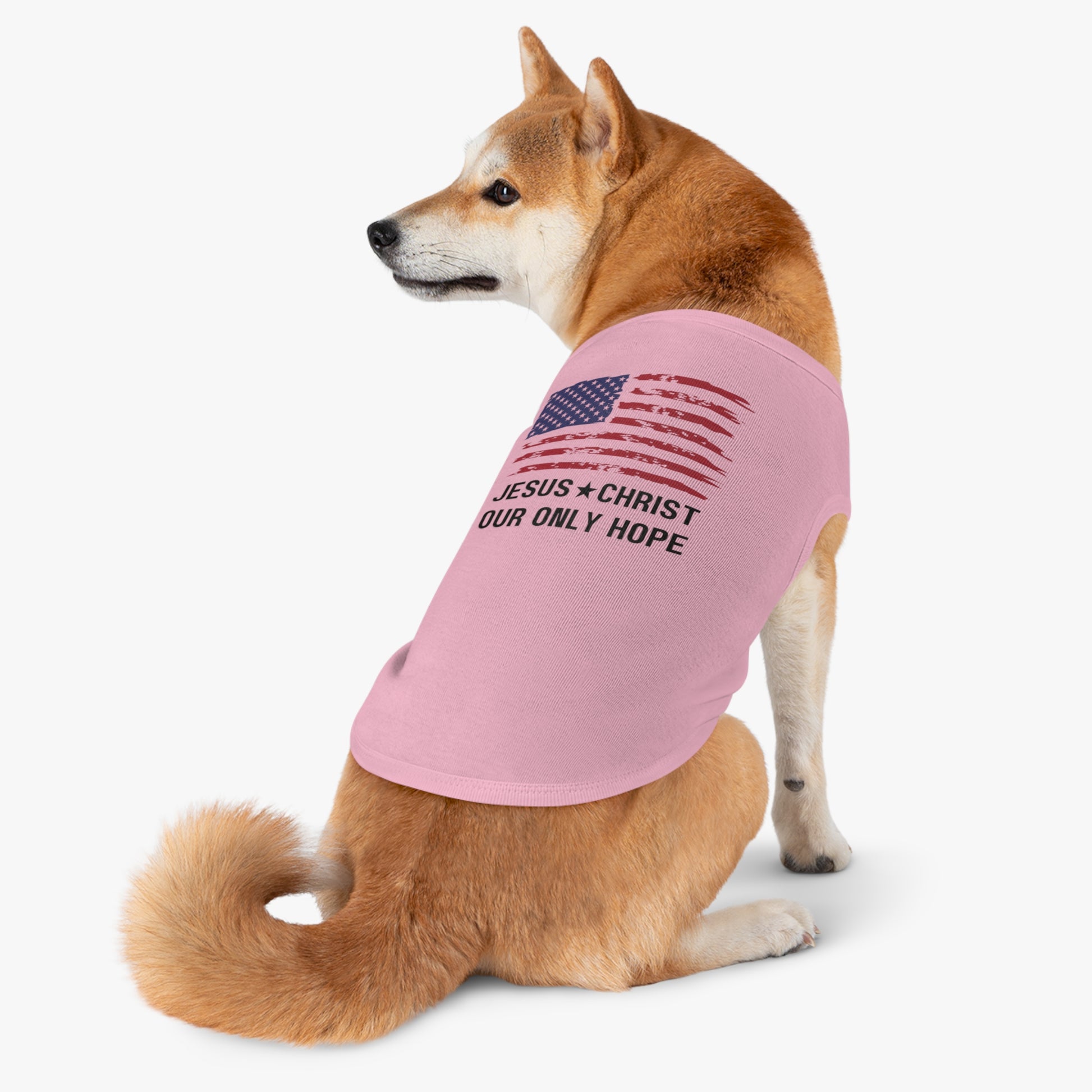 Shiba Inu dog wearing a pink shirt featuring the US flag and the text "Jesus Christ our only hope