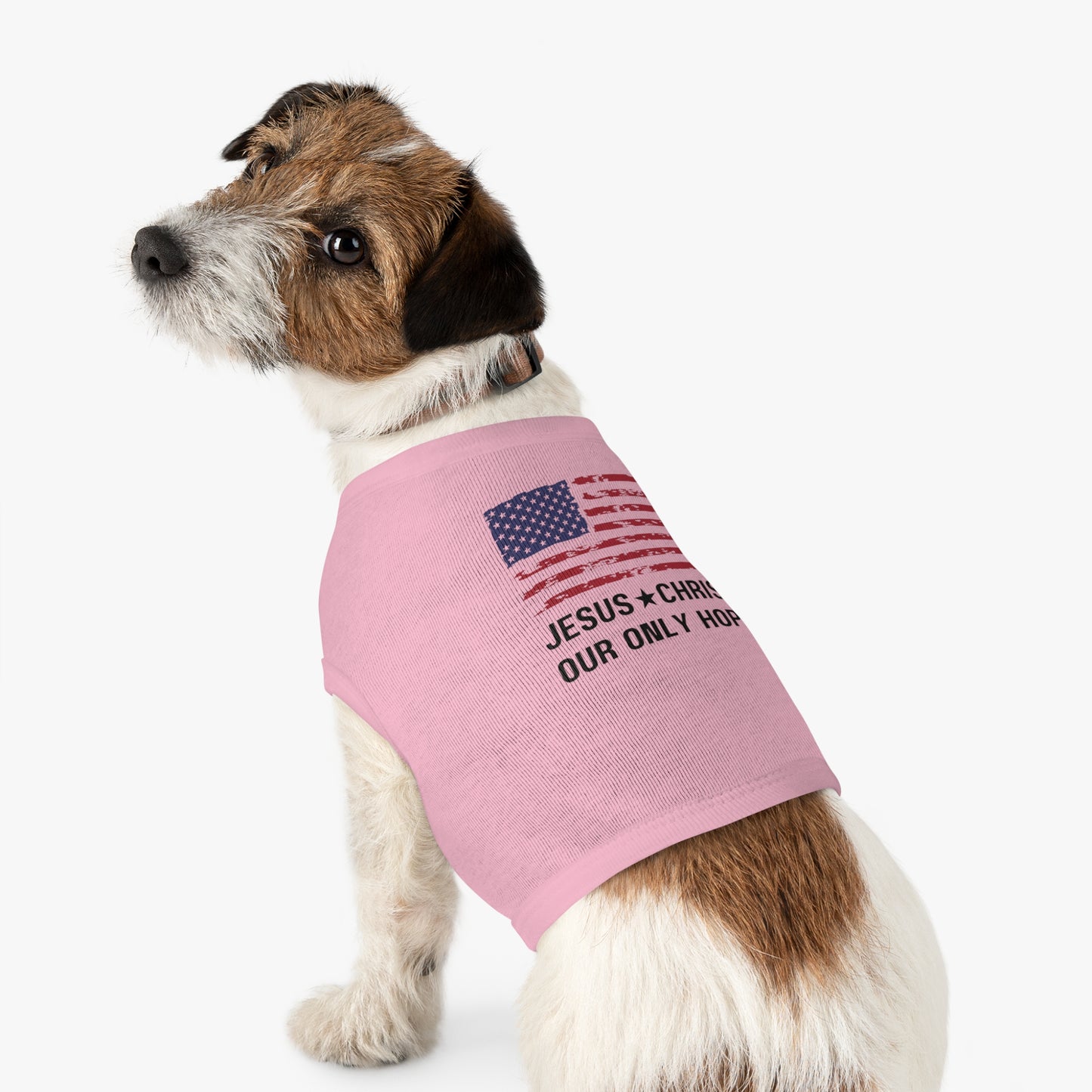 A small brown and white dog wearing a pink t-shirt with the text "JESUS CHRIST OUR ONLY HOPE" printed in black, and an American flag graphic.